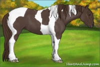 Horse Color:Liver Red Roan Tobiano 