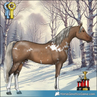 Horse Color:Gray White Spotted Liver Red Dun Mushroom 