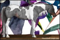 Horse Color:Gray Liver Red Roan Tobiano