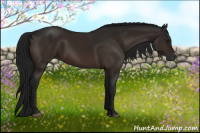 Horse Color:Gray Brown 