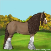 Horse Color:Liver Red Dun 