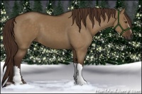 Horse Color:Liver Red Dun
