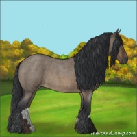 Horse Color:Brown Roan Dun 