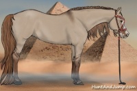 Horse Color:Liver Red Dun Roan Splash Frame