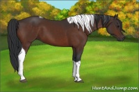 Horse Color:Brown Tobiano 