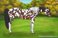 Horse Color:Brown Tobiano Leopard 