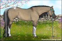 Horse Color:Brown Dun Tobiano 