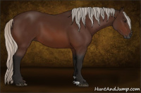 Horse Color:Gray Silver Bay 