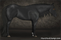Horse Color:Gray Black 