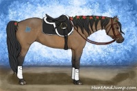Horse Color:Bay Dun
