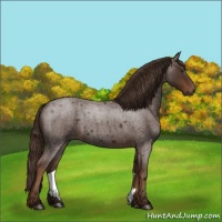 Horse Color:Liver Red Roan 