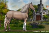 Horse Color:Gray Cremello 