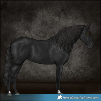 Horse Color:Gray Black 