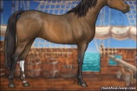 Horse Color:Buckskin Roan Rabicano 