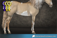 Horse Color:Chocolate Palomino Dun Tobiano Frame 