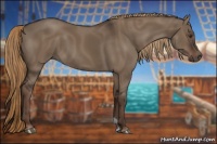 Horse Color:Liver Red Dun 