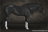 Horse Color:Gray Black 