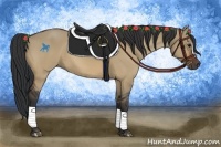 Horse Color:Brown Dun 