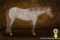 Horse Color:Liver Red Dun Roan 