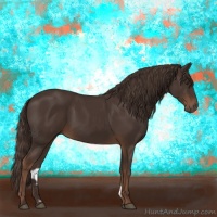 Horse Color:Liver Chestnut  and Liver Chestnut 