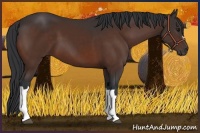 Horse Color:Brown 