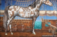 Horse Color:Amber Champagne Appaloosa  and Sable Champagne Appaloosa 