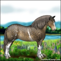 Horse Color:White Spotted Chocolate Palomino Rabicano