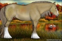 Horse Color:White Spotted Chocolate Palomino Dun Sabino