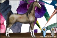 Horse Color:White Spotted Liver Red Dun 