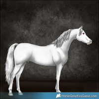 Horse Color:Amber Champagne Chinchilla Near Leopard  and Perlino Chinchilla Near Leopard 