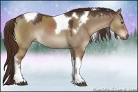Horse Color:Liver Red Dun Sabino Tobiano Rabicano