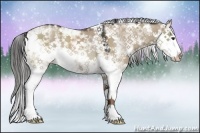 Horse Color:Liver Red Dun Sabino Rabicano