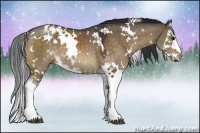 Horse Color:White Spotted Brown Dun Splash