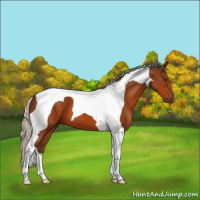 Horse Color:Silver Bay Tobiano 