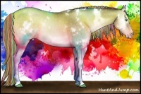 Horse Color:Painted White Spotted Chocolate Palomino Pearl Onyx Sabino Rabicano