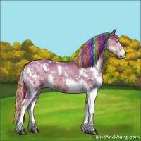 Horse Color:Painted Watercolor White Spotted Liver Chestnut Sabino Splash Rabicano 