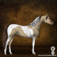 Horse Color:Liver Red Dun Tobiano 