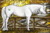 Horse Color:Cremello Dun 