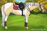 Horse Color:Silver Buckskin Dun Tobiano Rabicano