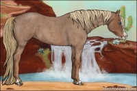 Horse Color:Red Roan Splash 