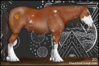 Horse Color:Bay Sabino 