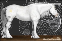 Horse Color:Brown Dun Sabino Rabicano 