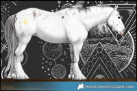 Horse Color:Bay Sabino Rabicano 