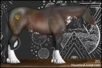 Horse Color:Brown Sabino Rabicano 