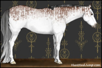 Horse Color:Gray White Spotted Bay Splash  and Gray White Spotted Bay Splash 