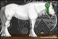 Horse Color:Bay Sabino Splash 