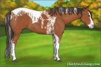 Horse Color:Bay Splash Tobiano  and Bay Splash Tobiano 