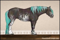 Horse Color:Watercolor White Spotted Midnight Silver Bay Dun Splash and Watercolor White Spotted Midnight Bay Dun