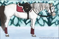 Horse Color:White Spotted Bay Splash  and White Spotted Bay Splash 