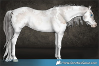 Horse Color:White Spotted Liver Red Onyx Ice Splash 